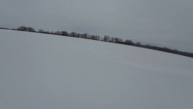 Охота на зайца в лыжах, по ледяной корке просто жесть!!! смотреть онлайн