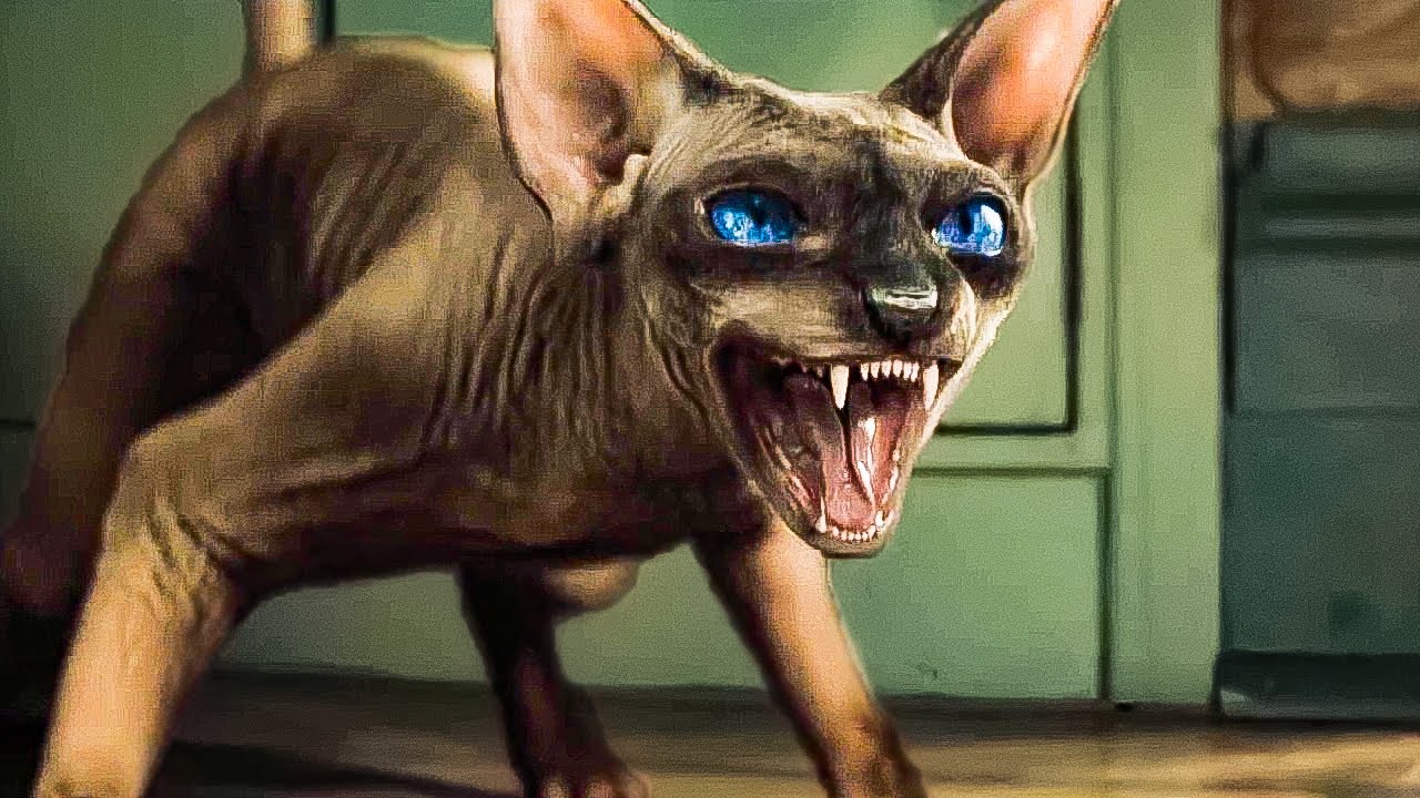 Ночные тетради - Русский трейлер фильма 2021 смотреть онлайн