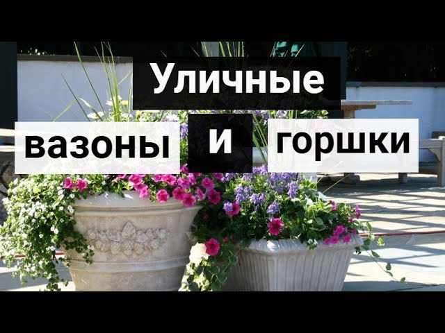 100 лучших идей_ Уличные вазоны и горшки для цветов смотреть онлайн