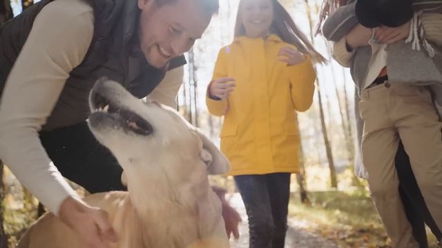 Осень в Переделкино Ближнем смотреть онлайн