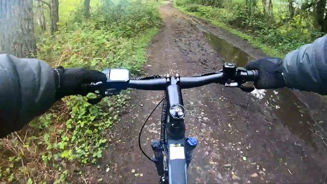 ★ ELEGLIDE M1 PLUS E-BIKE REVIEW ★ смотреть онлайн