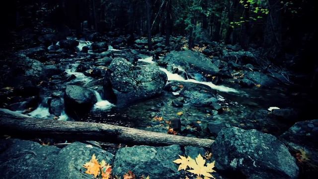 ✦Поль Мориа - Душа на двоих✦ смотреть онлайн