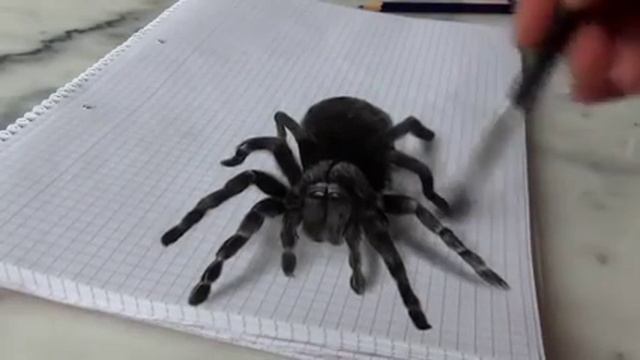 Шикарный 3d паук 🕷 смотреть онлайн