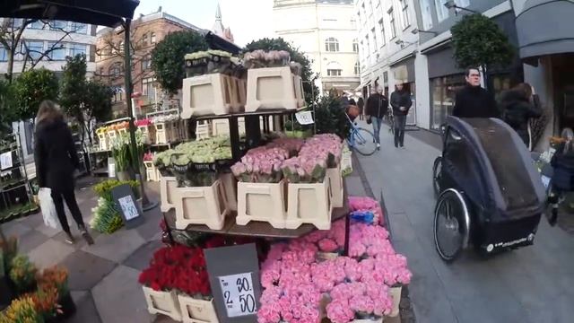Дания, Копенгаген. Цветочный рынок. смотреть онлайн