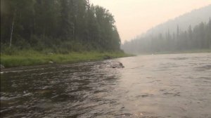 51 серия Рыбалка по реке Лендаха Водопад ручей Каменный Тайга Ловля на Балду Тирольская палочка Спла