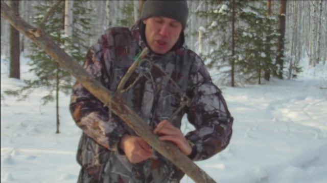 На куницу и соболя капканами | установка кулемки на наклонной жерди I Marten trapping in Russia смотреть онлайн