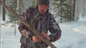 На куницу и соболя капканами | установка кулемки на наклонной жерди I Marten trapping in Russia