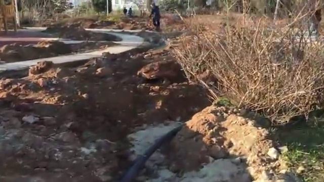 Огромные стаи птиц на Черном Море. А также какие парки строятся в спальных районах Севатосполя смотреть онлайн