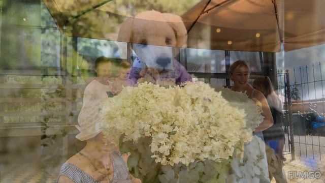 День рожденья  - праздник детства?