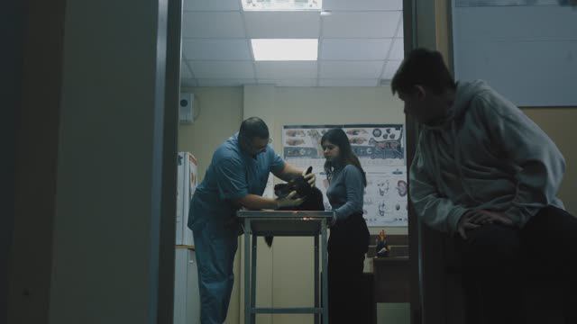 Друг смотреть онлайн