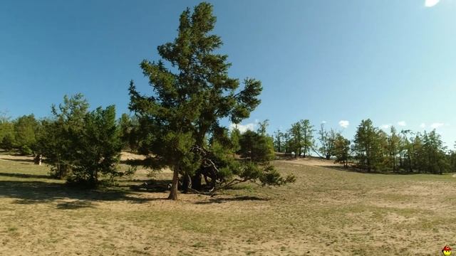 Дикарями на авто, остров Ольхон смотреть онлайн