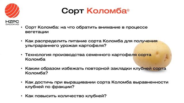 Технология возделывания сортов картофеля селекции HZPC смотреть онлайн