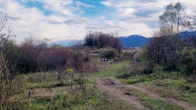 55м Отстрел Крала JSB 2.20. смотреть онлайн