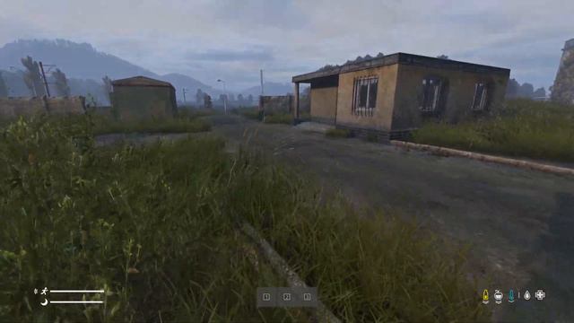 Обзор проекта Ultimate Survival Dayz Standalone // EVERYDAYZ //