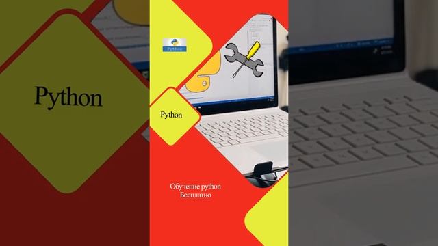 С чего начать изучение python? Обучение python Бесплатно. Язык Python с чего начать смотреть онлайн