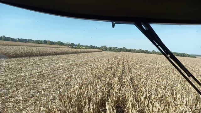І знову кейс і кукуруза смотреть онлайн