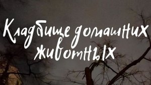Кладбище домашних животных | Где москвичи хоронят своих питомцев | Москва