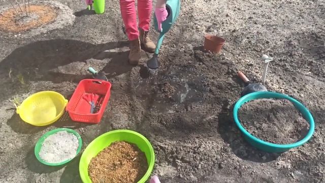 Найкращий кущ для саду! Найневибагливіший квітучий чагарник для саду та на дачі смотреть онлайн