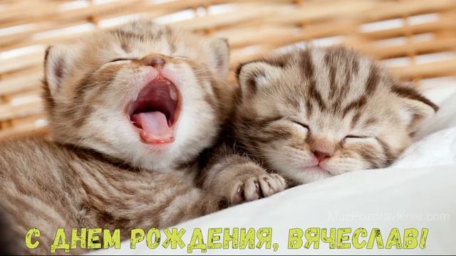 С Днем рождения, Вячеслав! смотреть онлайн