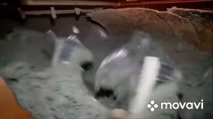 Производство керамзита