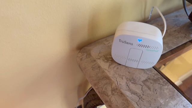 TrueSens Hepa Air Purifier with UV-C Light & Air Quality Monitor Z-3000 - Review смотреть онлайн