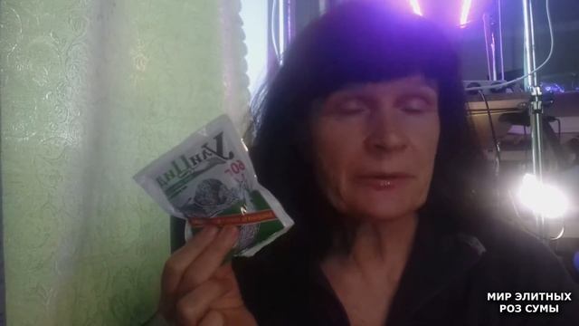 Эффективная и экологичная защита сада от слизней и улиток. смотреть онлайн