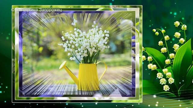 Ландыши, ландыши – белый букет Переходы Proshow Producer смотреть онлайн