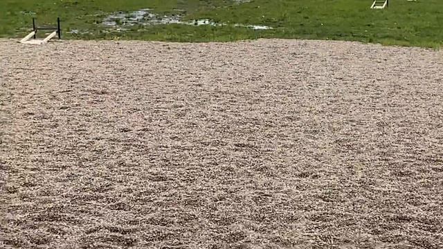 Ма-136-03 и Сайга мк-030 наконец готовый вариант смотреть онлайн