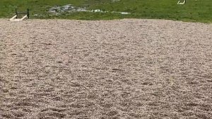 Ма-136-03 и Сайга мк-030 наконец готовый вариант