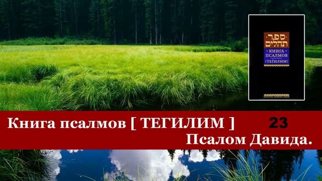 Господь - мой пастырь. Книга Теилим 23, 40 раз. Перевод на русский Меира Левинова, Псалом 22. смотреть онлайн