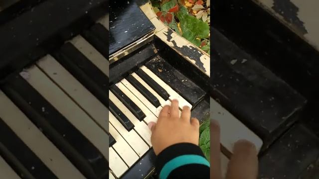 Обзор пианино Пенза на улице смотреть онлайн
