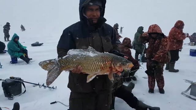 Крупный сазан зимой смотреть онлайн