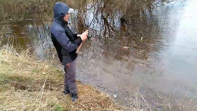 Обзоз и тест спиннинга Jin Tai Tvin 2.4 с двумя вершинами.