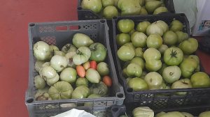 фото (1) КУПИЛИ ДАЧУ, ОБЗОР (ПЕРЕЗАЛИВ)