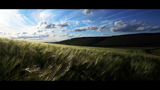 Field Recording #04 | Sennheiser MKE 600 | RODE Blimp MkII | Gerstenfeld im Wind смотреть онлайн