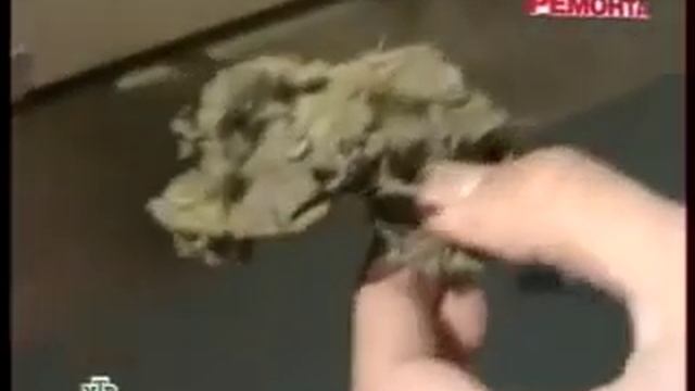 Минвата-аромат смерти.mp4