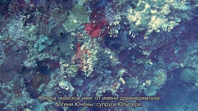 Значение имени Юнона. Толкование, судьба, характер смотреть онлайн