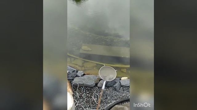 Фонарь подводный в пруд из Китая! смотреть онлайн