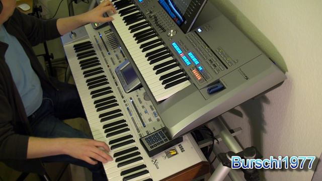 I´m a Believer (The Monkees) - Cover by Burschi1977 Tyros 5 смотреть онлайн