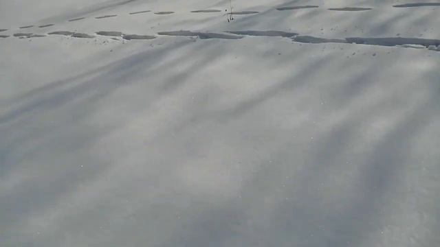 Река Иман Гоголевка! смотреть онлайн