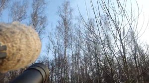 Отстрел ворОн ( crowhunting  +  хорор-бонус )