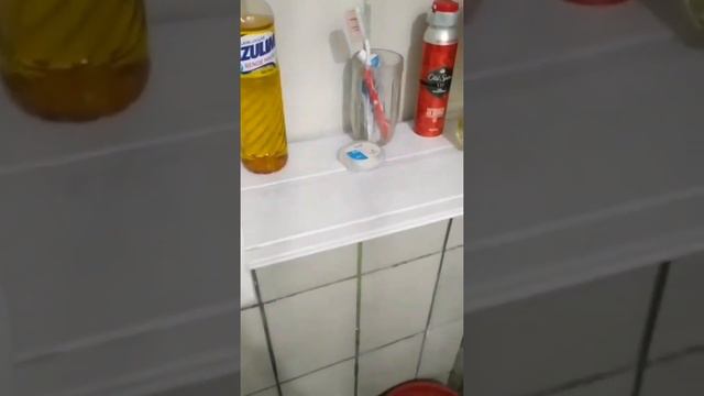 cabaré erika fernandes смотреть онлайн