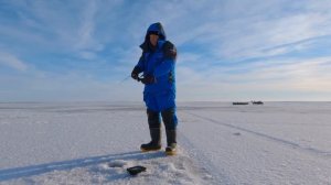 Зимняя рыбалка на судака в Камском Устье удалась! Виб который сделал всю рыбалку.