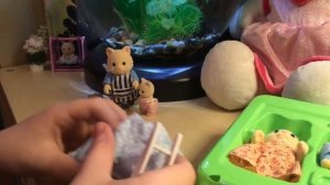 Sylvanian families. Воссоединение семьи кошечек. Новый набор. Мои сильвания фэмили