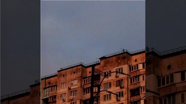 свидетельство о смерти - женщины боятся смотреть онлайн