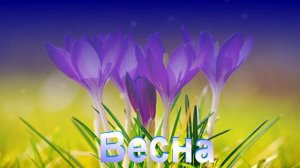 Футаж. Весна 36