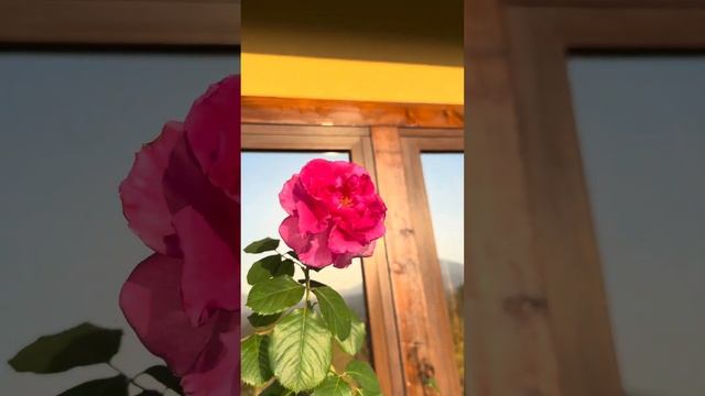 Простой способ от морщин