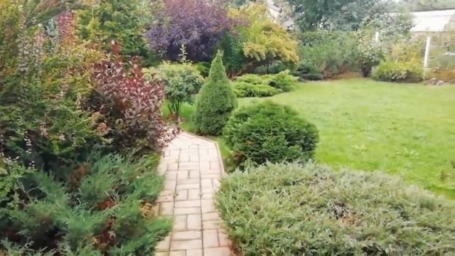 ДОМ МЕЧТЫ НАТАЛИИ ((ВЕДЬМИНА ИЗБА ▶️ ИНГИ ХОСРОЕВОЙ)) смотреть онлайн