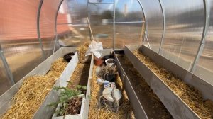 Моя теплица 3 * 4 ✅ Высокие грядки ✅ Обустройство участка