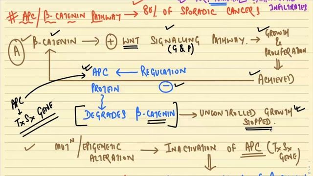 COLORECTAL CANCER II GIT II ROBBINS 10TH E II PATHOLOGY LECTURES II @DrJIBRANAHMED смотреть онлайн